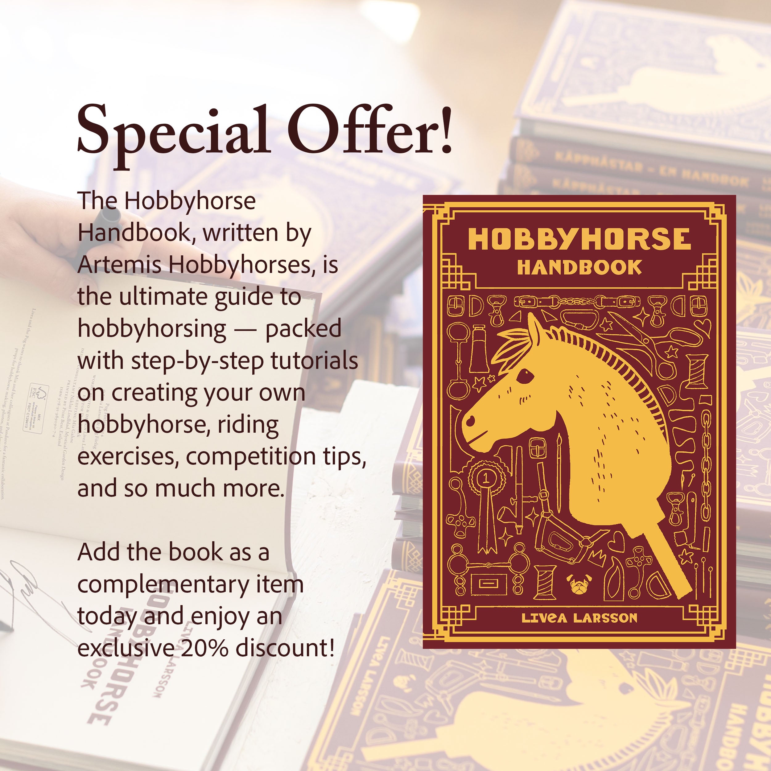 DIY Kit Hobbyhorse