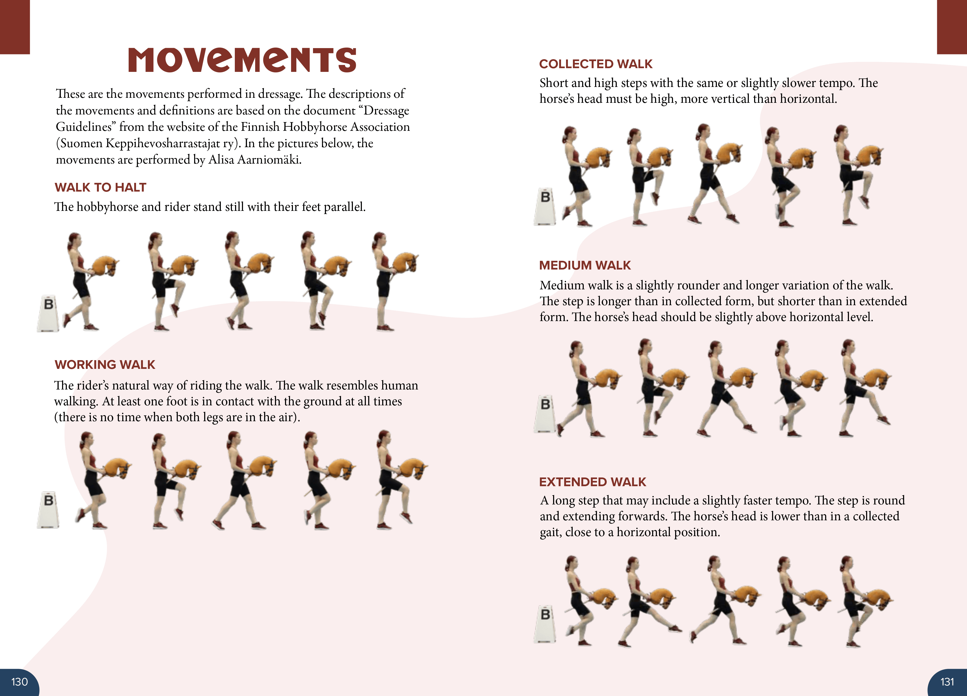 Hobbyhorse Handbook