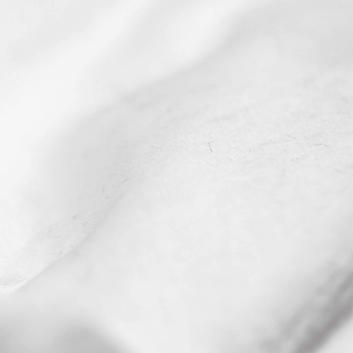 Snow - SuperMinky